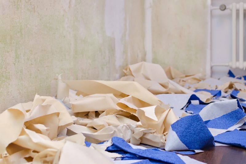 Post-Remodel Cleanup